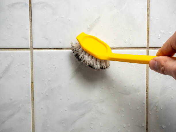 Best Basement Mold Remediation in Mazomanie, WI